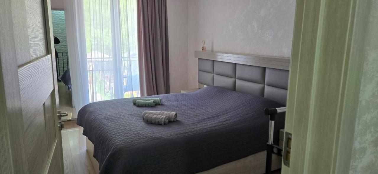 My House Βίλα Borjomi Εξωτερικό φωτογραφία