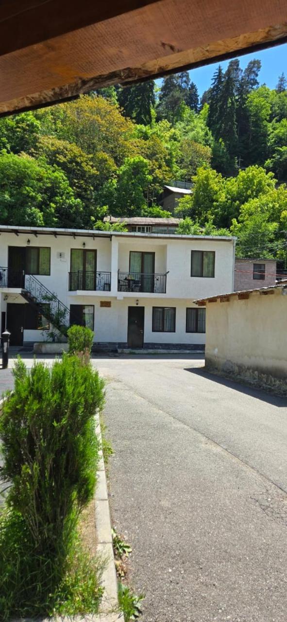 My House Βίλα Borjomi Εξωτερικό φωτογραφία